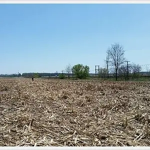 20150507 121656 resized crop