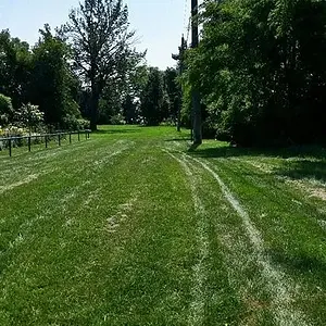 20150828 125152 resized crop