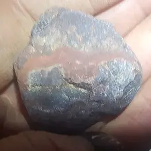 Bat