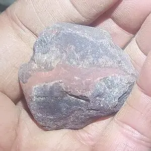 Bat painted in stone