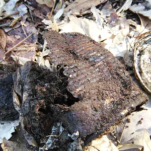 Old metal can.