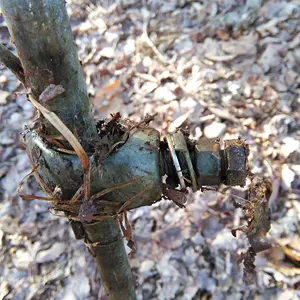 Upclose of the grounding rods slider adjustment.