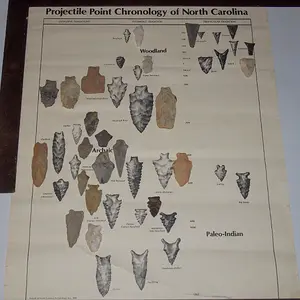 DSCN1974