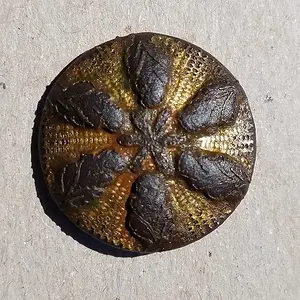 20160402 Flower Button obv. Found in Brandon with the ETRAC.