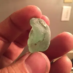 3/23/16 Gracie's find. beach hunt off lake. She calls it her Shamrock