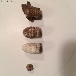 IMG 0725