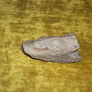DSCF2174