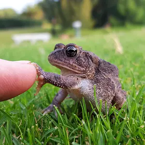 My Handshake with Nature.