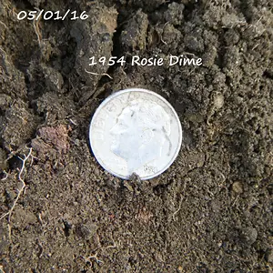3 DSCF6777