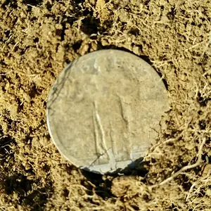 1920 Standing Liberty Quarter I found in the yard of a 1910 built house.