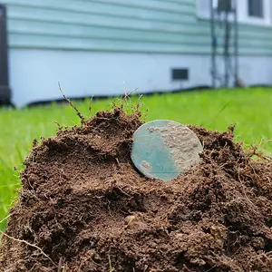 My oldest coin to date: A 1868 British large cent. Found in the yard of a 1900 built house.