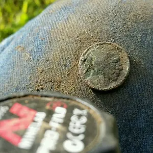 Buffalo Nickel