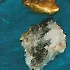 sample