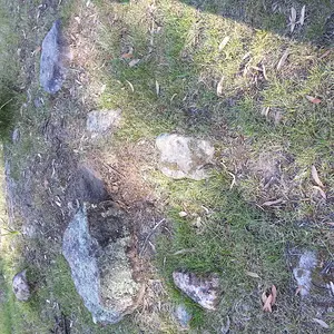 20131010 084222