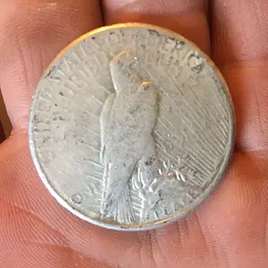 Peace Dollar