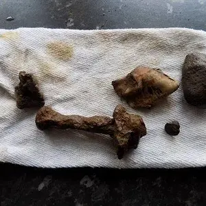 friday 23/09/16

junk i found