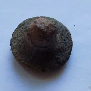 sunday 25/09/16

condition = ok
some kind of bolt