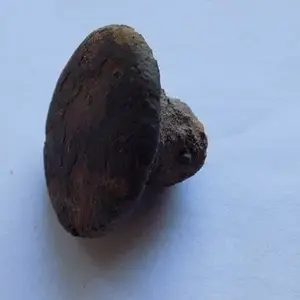 sunday 25/09/16

condition = ok
some kind of bolt