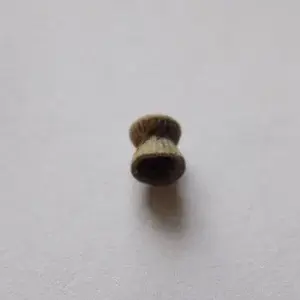 monday 03/10/16

condition = good
pellet ???