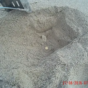 2016 0821 072155 001