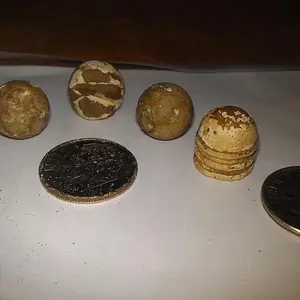 reid bullets