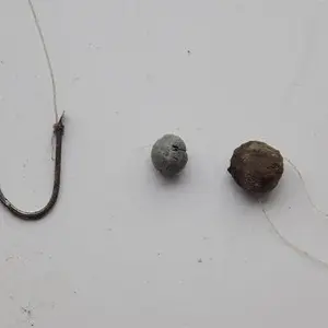 saturday 08/10/16

condition = poor
fishing weights + hook