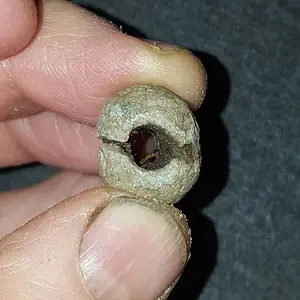 Cast net weight