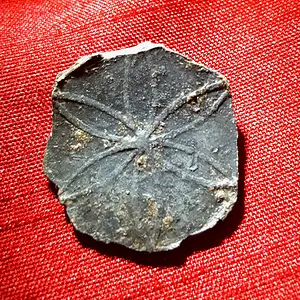 Decorative pewter coat button