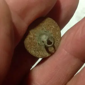 nice shank