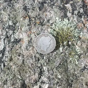 20161125 105648
