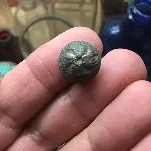 flower button