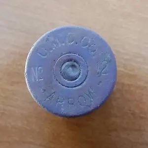 UMC Co, Arrow 1 (1901-1910)