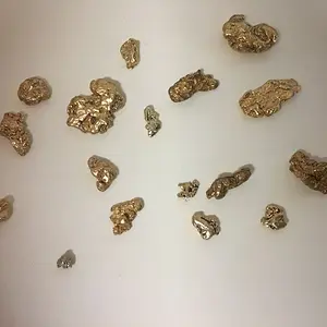 My Gold Nuggets.
Most from Oregon/Cali and some from Alaska.