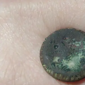 IMAG1634. Six shell impresions with unclear back mark. Civilian. Found 2016.