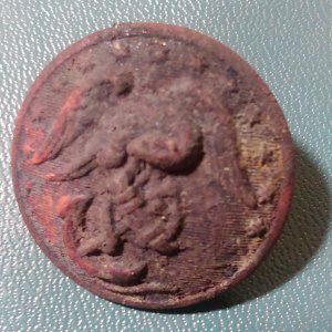 IMAG0928 (1). US Marine Corps button, found 2016.