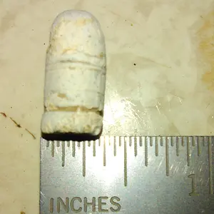 IMAG1269 appears to be a 36 or 357 cal. Found in 2016.