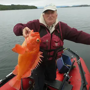 Nice snapper bro