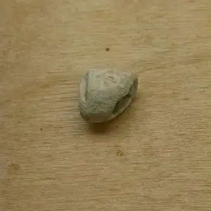 IMG 20170205 152545901