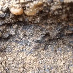 Layer of black sands in creek bank
