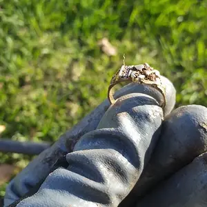 20161128 145303 001 (1)