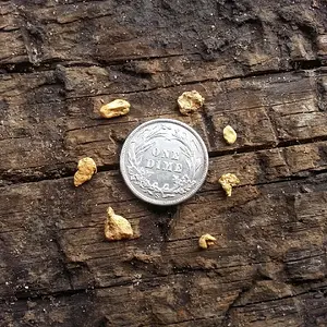 20150218 111942