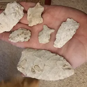 Late Archaic artifact finds.