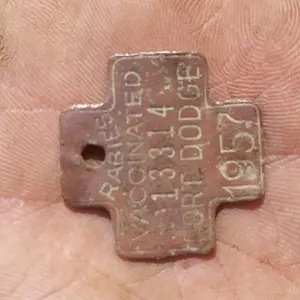 1957 Fort Dodge Dog tag