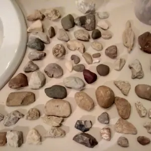 Various pieces found same area, same day..
IMG 20170329 010655