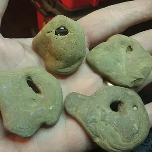 bird duck heads3