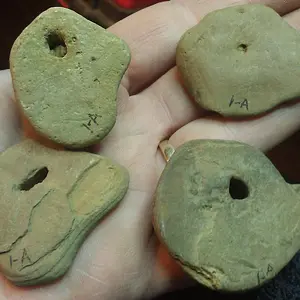 bird duck heads2