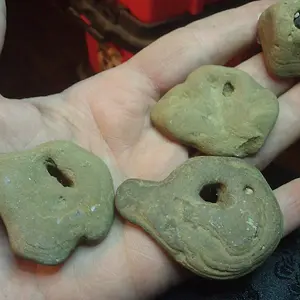 bird duck heads