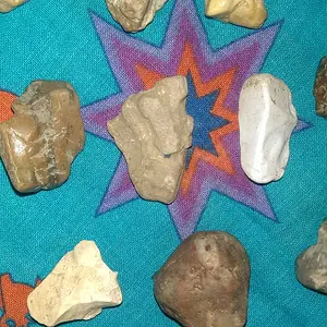 IMAG2601
