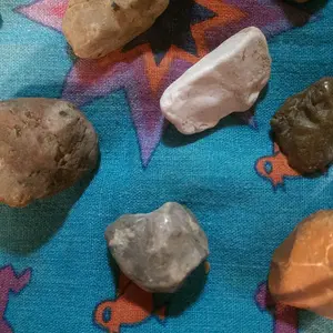 IMAG2599