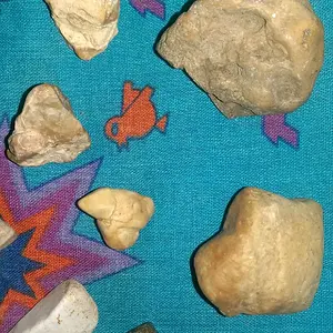 IMAG2598